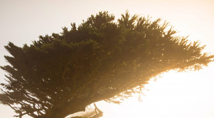 5 สิ่งที่คนจิตใจเข้มแข็งรู้