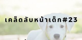 หน้าเด็กด้วยการเลี้ยงสุนัข