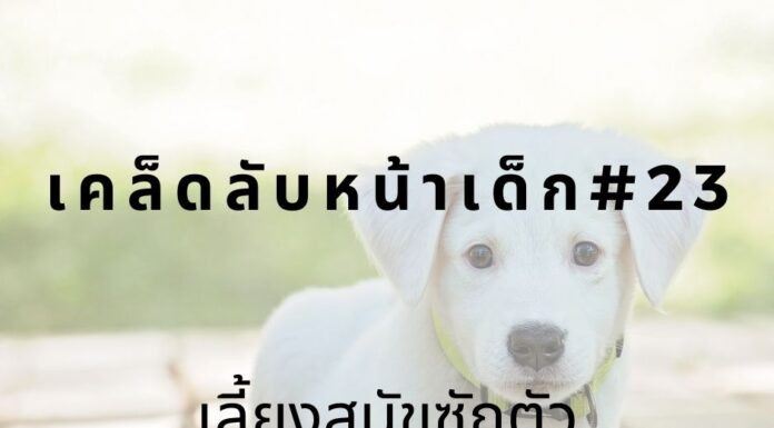 หน้าเด็กด้วยการเลี้ยงสุนัข