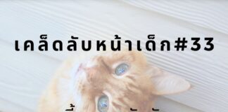 หน้าเด็กด้วยการเลี้ยงแมว