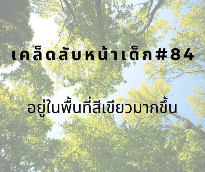 หน้าเด็ก84 หน้าเด็กด้วยการอยู่ในพื้นที่สีเขียว